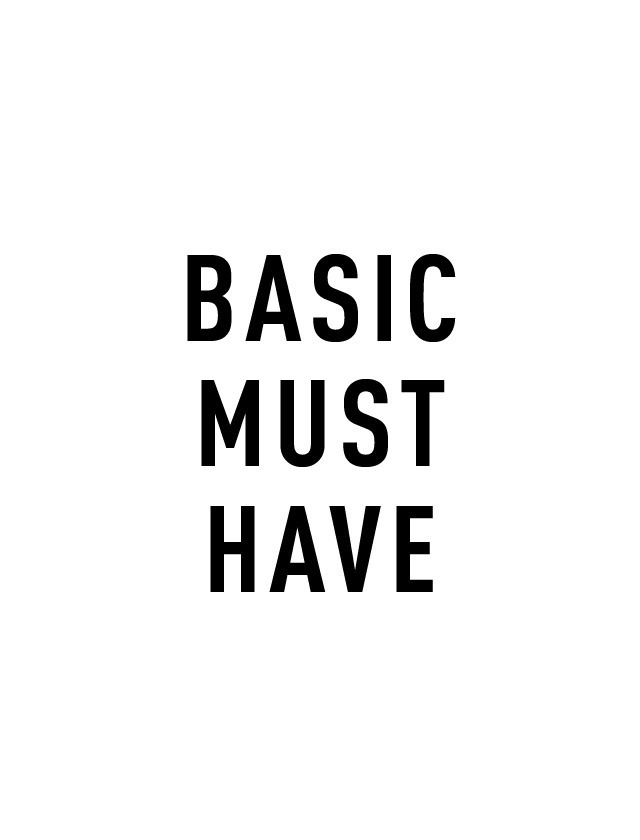 Text auf weißem Hintergrund: "BASIC MUST HAVE".