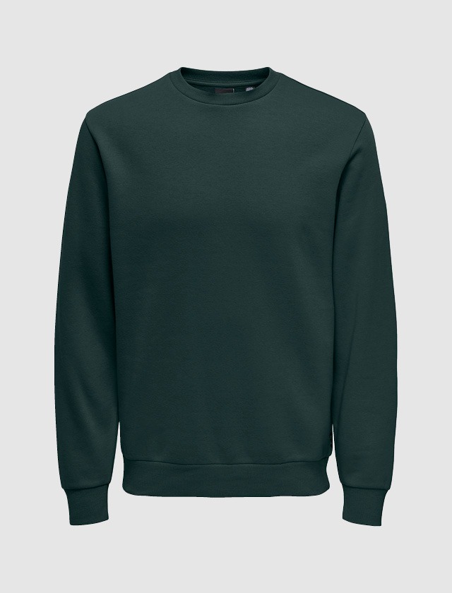 Ein dunkelgrüner Sweatshirt ohne Kapuze. Ein dunkelgrüner Sweatshirt ohne Kapuze.